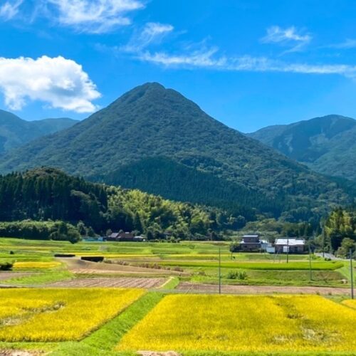 鹿児島県鹿屋市の中心地から少し離れれば広がる田畑と山並みが織り成す「田舎の風景」を楽しむことができます。