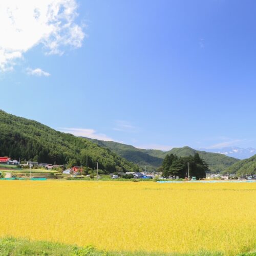 長野県筑北村の秋の風景