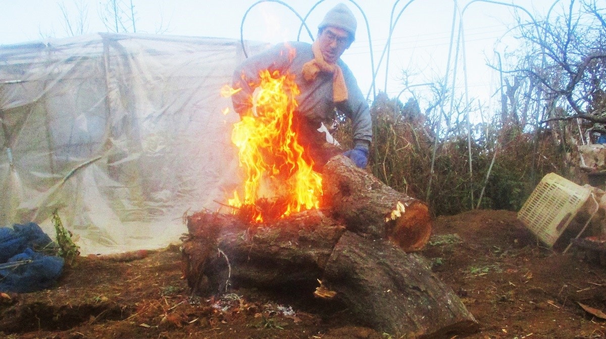 朝は焚火。ぶっとい木もたやすく燃え上がる。