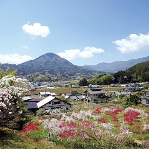 長野県青木村の花いっぱいの夫神岳