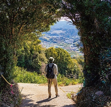 和歌山県の紀伊山地の霊場と参詣道を巡る「熊野古道リレーウォーク」参加者募集