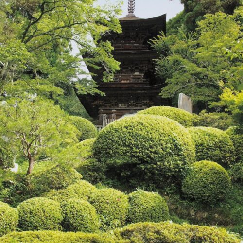 長野県青木村の国宝「大法寺三重塔」