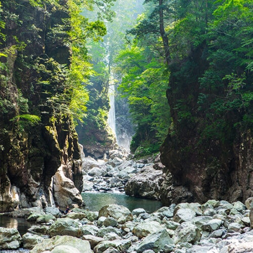 三重県大台町にある大杉谷登山道