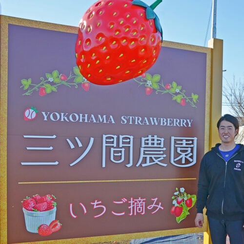 遠くから見てもいちご農園とわかる看板は土地を耕してからすぐに設置された