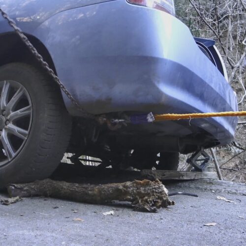 車は中身。見た目ではなく走れるかどうかがポイントだと、東出昌大氏は考えています。