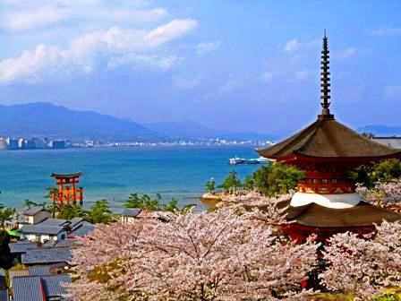 西の3位、広島県の「安芸の宮島」では、世界遺産に登録されている嚴島神社と、1900本もの満開の桜のコラボレーションを楽しむことができます。