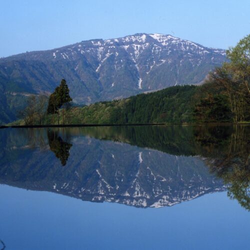 兵庫県養父市の西部に位置し、兵庫県下最高峰を誇る氷ノ山（ひょうのせん）。