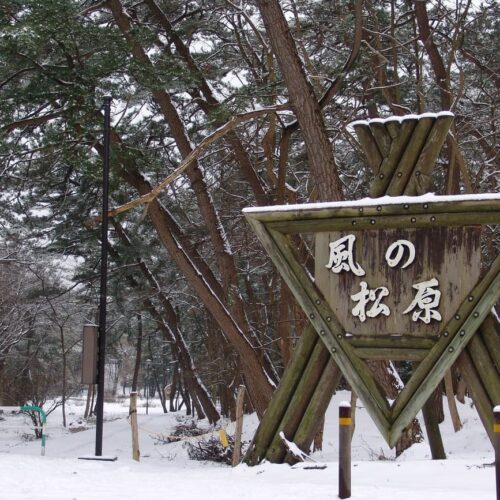 秋田県能代市の海岸沿いに連なる砂防林「風の松原」。幅1㎞、総延長14㎞の広大な土地に約700万本の松が植えられており、その規模は全国最大級といわれています。日本海の強い海風による飛砂から能代のまちを守る松林には、子どもたちが遊べる木製アスレチックや散策路が整備され、市民の憩いの場としても親しまれています。