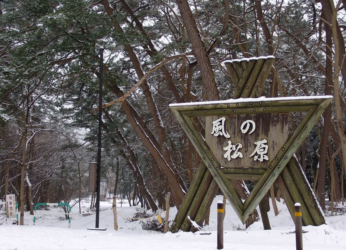 秋田県能代市の風の松原〜冬