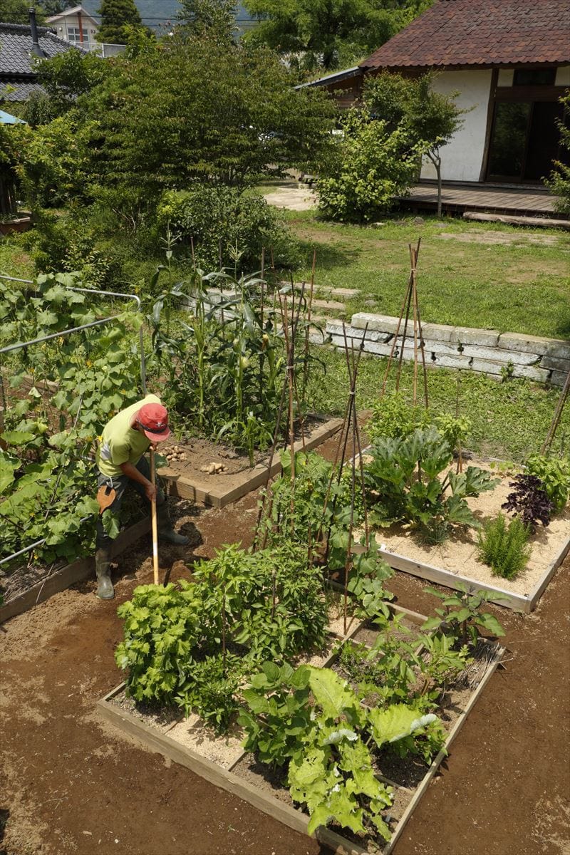 何枚かのミニ菜園を組み合わせれば、野菜の自給率も上がる。庭の景観としてもおしゃれ。