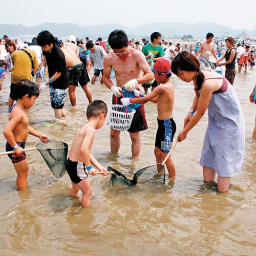 千葉県南房総市南房総冨浦アジすくい。遠浅の砂浜に網を張り、そこに放流したアジをすくう、富浦地区で開催される親子連れに人気のイベントです。