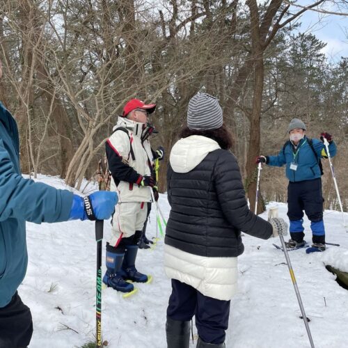 秋田県能代市の風の松原かんじきウォークは、かんじきを履いて、ガイドの案内で、普段は行けない場所などを散策するイベントです。雪の上に残る動物の足跡を探しながら松林を歩きます。毎年2月に開催。