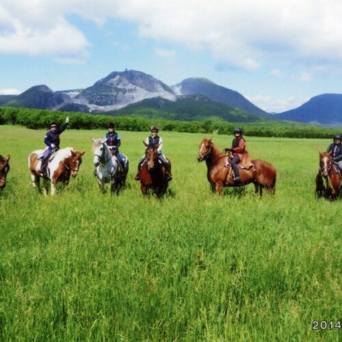 北海道弟子屈町のホーストレッキング。町内では、湖畔や草原を馬上で散策するインストラクター付き乗馬ツアーや、牧場内での引き馬体験もできます。