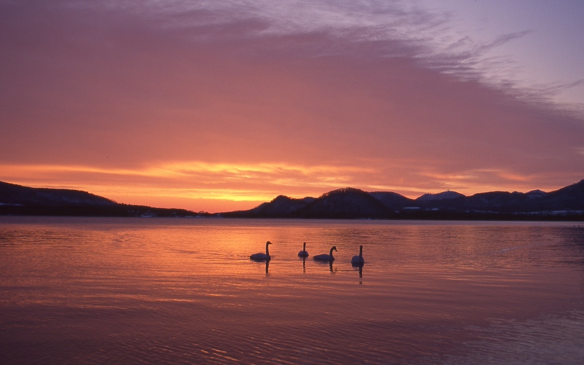 北海道弟子屈町の屈斜路湖夜明け。火山活動によって誕生した屈斜路湖。日本最大のカルデラ湖で、その中央部には淡水湖内で日本一大きい島・中島（なかじま）がそびえます。冬は白鳥が飛来し、バードウォッチャーからの人気を集めています。