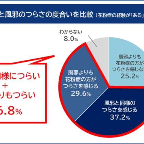 花粉症と風邪のつらさの度合いをアンケートしたところ、「風邪と同様につらい」「風邪よりつらい」と回答した人はなんと66.8％でした。