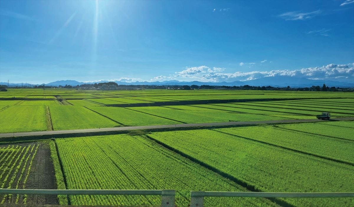 宮城県栗原市は米どころとして有名。どこまでも広がる田園風景