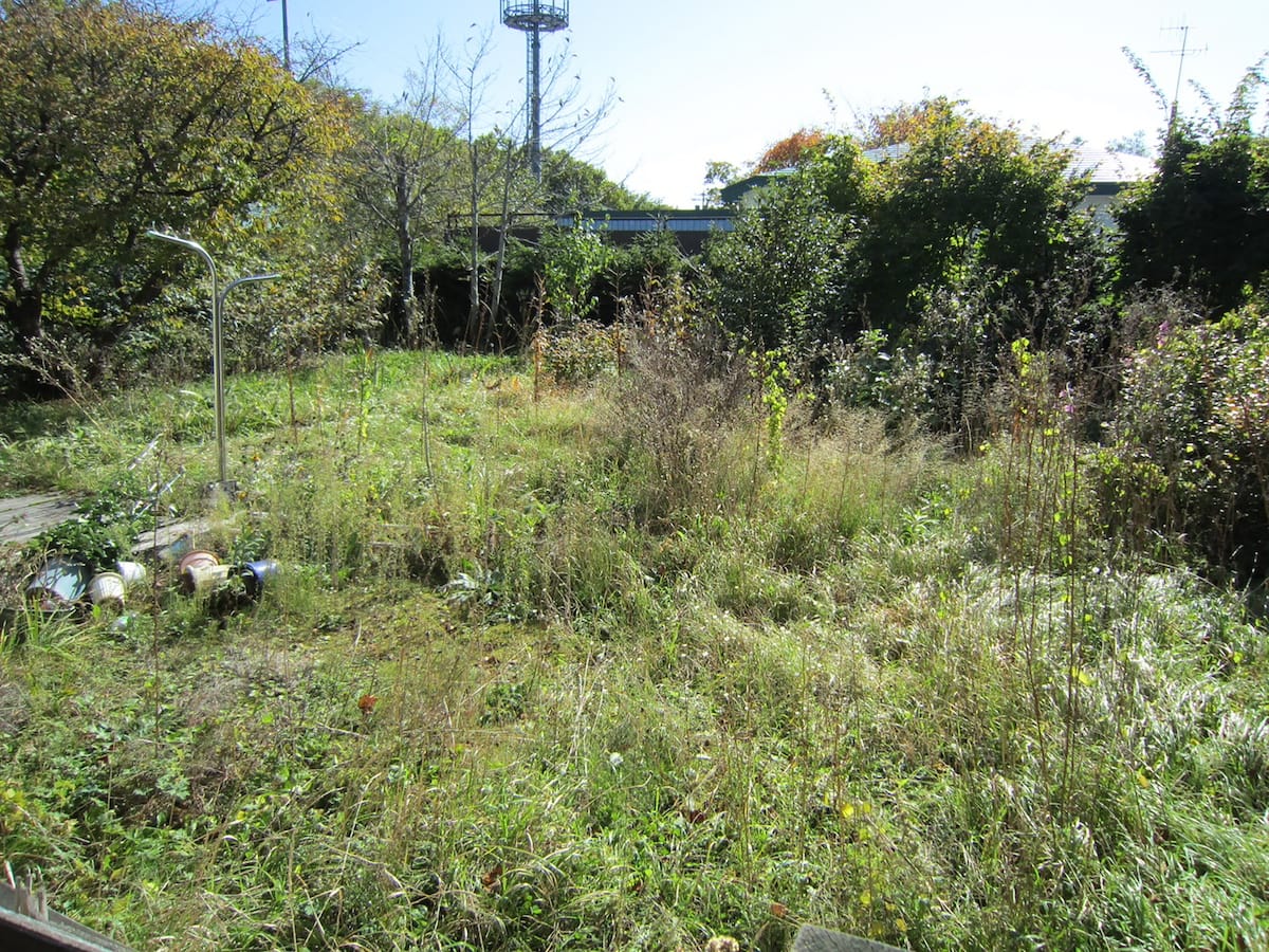 北海道弟子屈町の物件の裏庭。小さな菜園をつくったり、ブルーベリーを植えたり、季節の花やハーブを楽しむのもおすすめです。