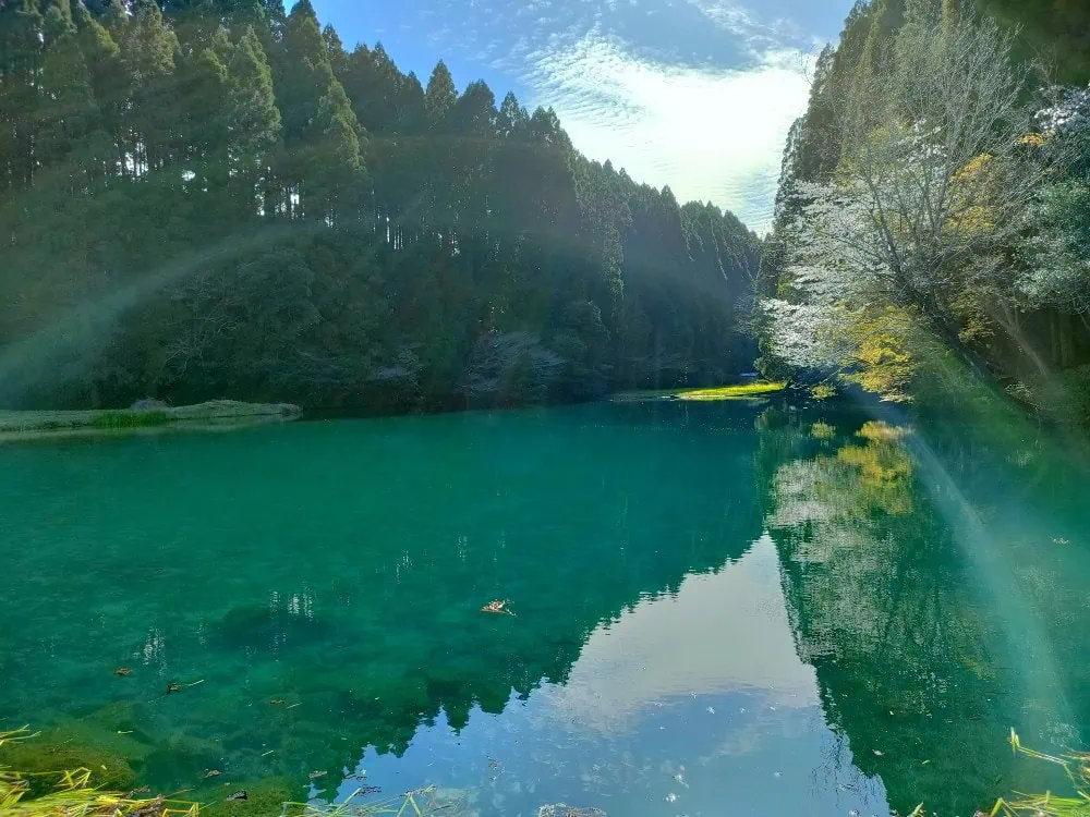 宮崎県えびの市の陣の池は、霧島連山の湧水を利用した農業用ため池で、戦国武将がこの付近に陣を構えたことが名前の由来。