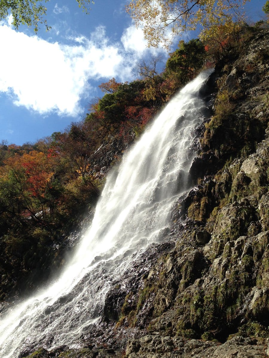 兵庫県養父市の天滝（てんだき）は県下一の落差98mを誇る名瀑です。