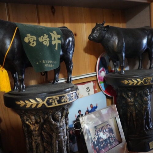 宮崎県串間（くしま）市の宮崎牛生産農家・稲本民雄さんのお部屋に飾られたトロフィー。