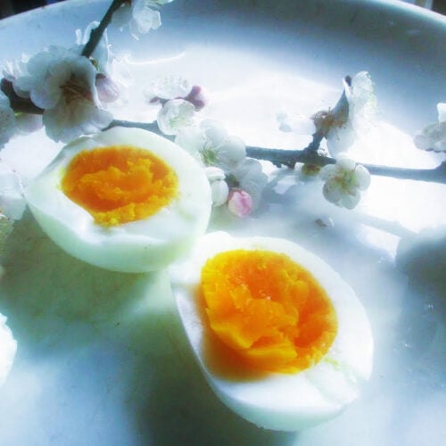 新聞で読んだ句に影響され、今朝の卵料理はめずらしくゆで卵に。梅の花を手折って添えてみた。
