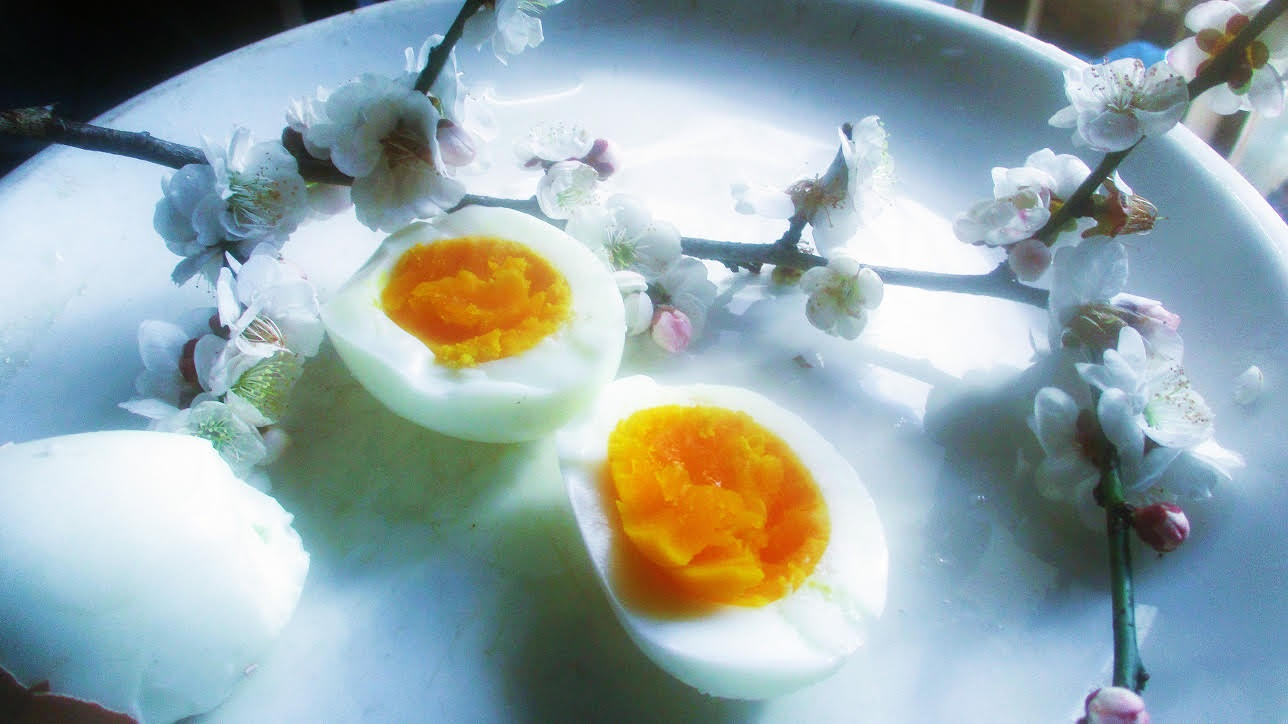 新聞で読んだ句に影響され、今朝の卵料理はめずらしくゆで卵に。梅の花を手折って添えてみた。