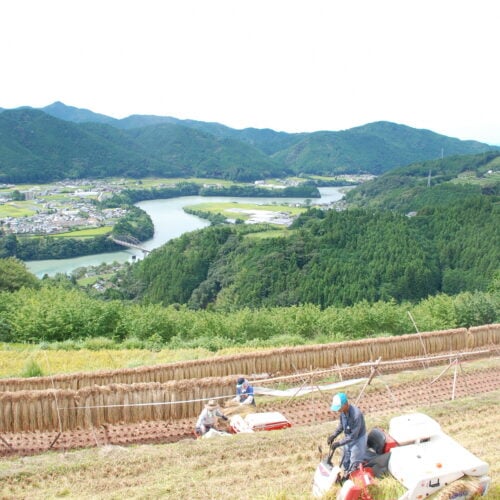 高知県香美市香北町は「里暮らし」のエリアです。物部川の中流部に位置し稲作が盛んです。アンパンマンミュージアムがあり、週末には親子連れでにぎわいます。キャンプ場などの施設も多く、移住者に人気の地域です。