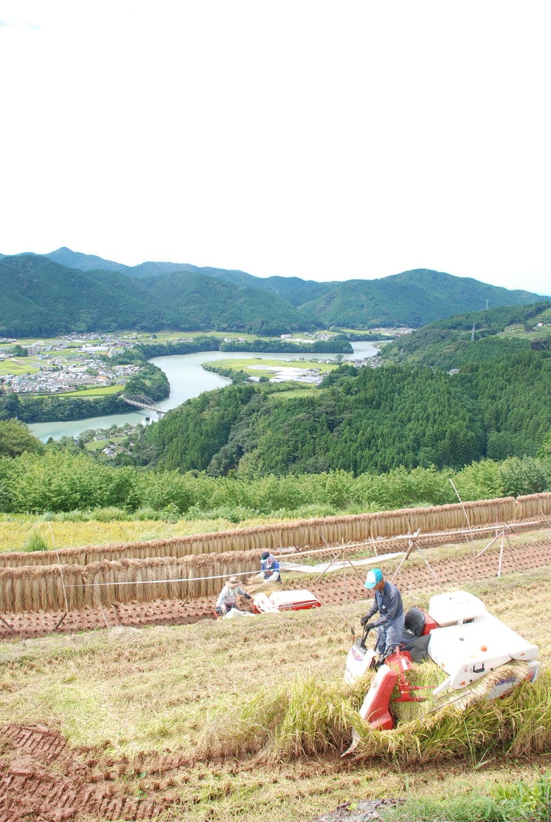 高知県香美市香北町は「里暮らし」のエリアです。物部川の中流部に位置し稲作が盛んです。アンパンマンミュージアムがあり、週末には親子連れでにぎわいます。キャンプ場などの施設も多く、移住者に人気の地域です。