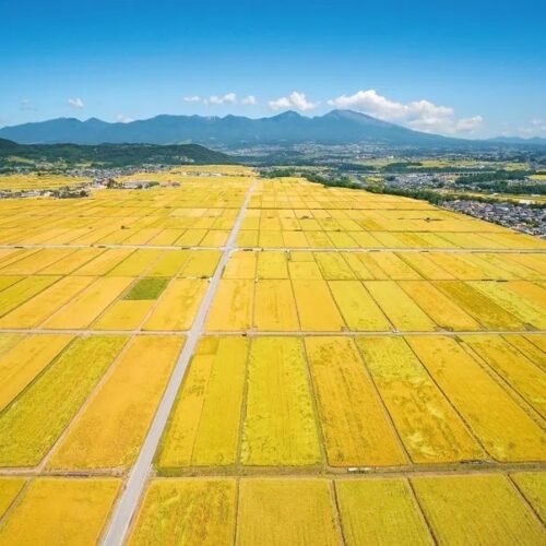 長野県佐久市ののどかな田園風景