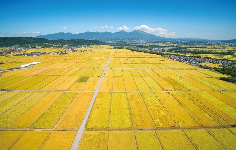 長野県佐久市ののどかな田園風景