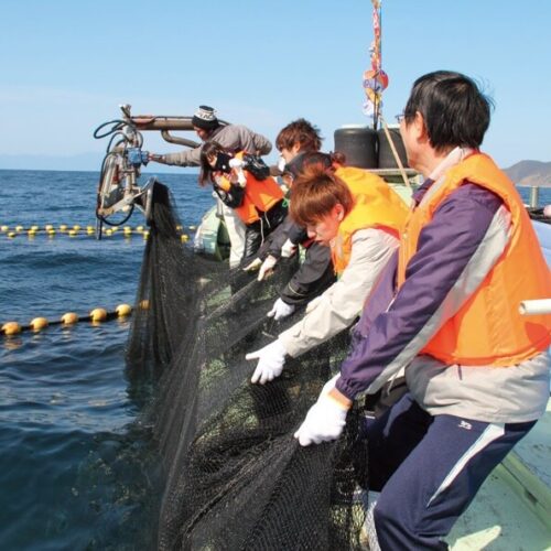 【定置網体験】 漁船に乗って都井岬沖に出て、魚の習性を利用した定置網漁を体験。獲れた魚はみんなで山分けできる。通年営業。