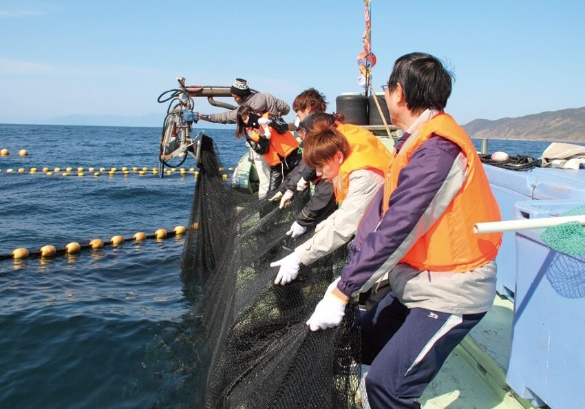 【定置網体験】 漁船に乗って都井岬沖に出て、魚の習性を利用した定置網漁を体験。獲れた魚はみんなで山分けできる。通年営業。