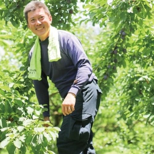 長野県飯田市に、プルーン農家として新規就農した移住者さん