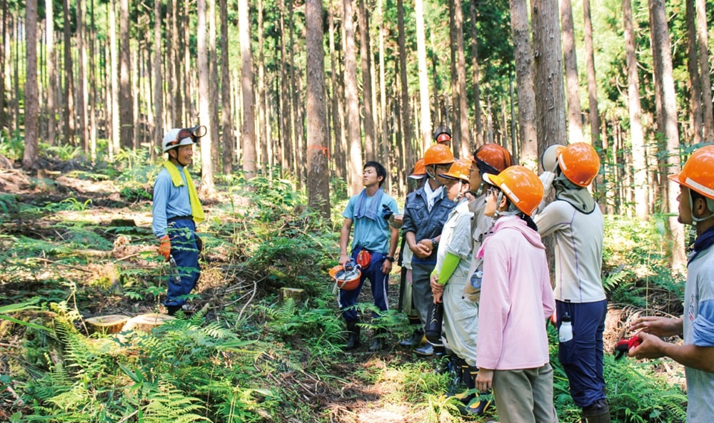 高知県土佐町で行われた林業インターンシップ。