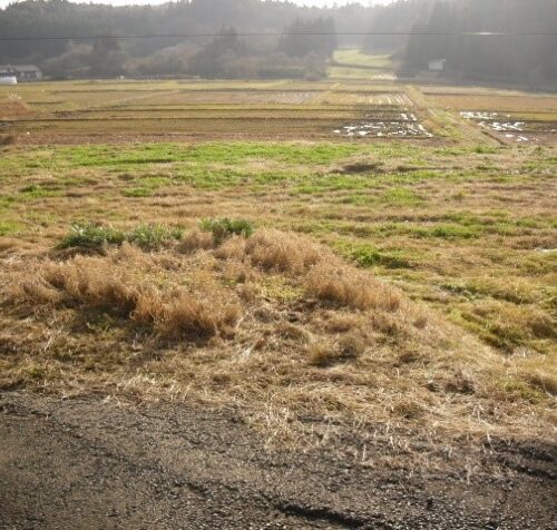 岩手県奥州市の物件の周辺環境です。のどかな田園が広がるエリアです。