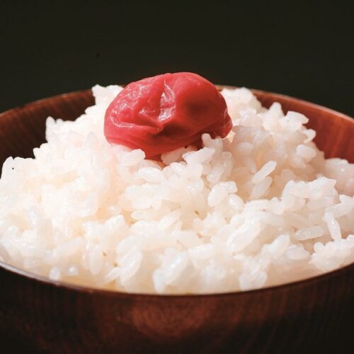 「コシヒカリの故郷」ともいわれる坂井市。近年はもう1つの福井県発祥の米「いちほまれ」の生産も盛ん。