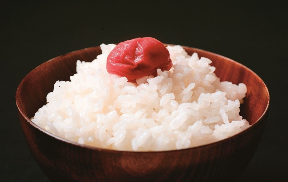 「コシヒカリの故郷」ともいわれる坂井市。近年はもう1つの福井県発祥の米「いちほまれ」の生産も盛ん。