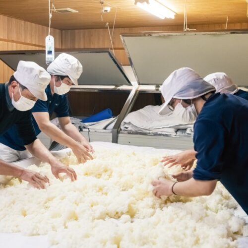 大分県臼杵市で発展した発酵・醸造文化から生まれた日本酒づくり