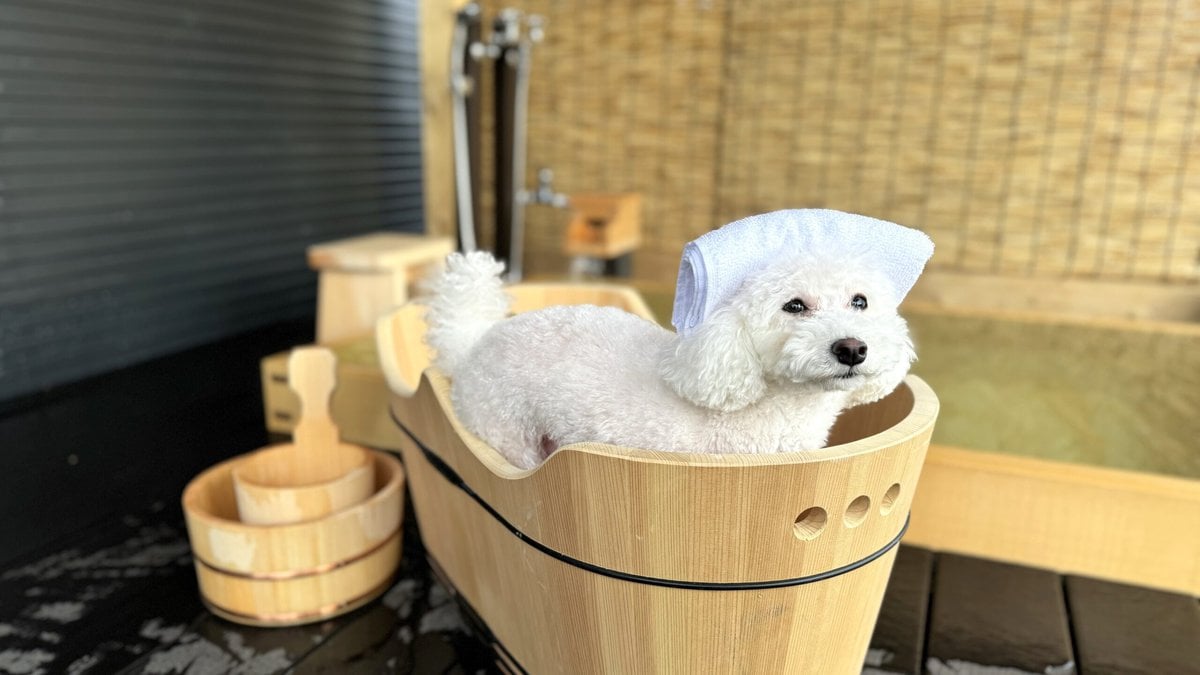 ウッドデッキにある檜の露天風呂には、犬用のお風呂も完備しているので、一緒に楽しむことができる。