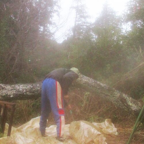 ビニールにブラシをかける。冷たい雨の中の作業が続く。