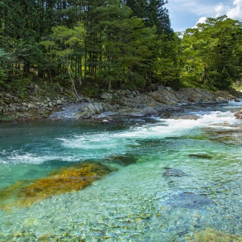 栃木県鹿沼市中心を流れる大芦川（おおあしがわ）は、関東随一の清流と称されています。