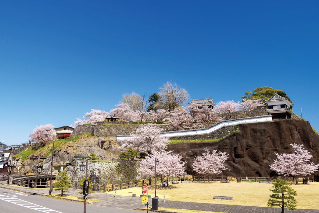 大分県臼杵市の臼杵城跡