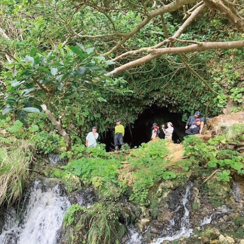 鹿児島県伊仙町にある神秘的な雰囲気を体感できる小島鍾乳洞は知る人ぞ知る探検スポット。