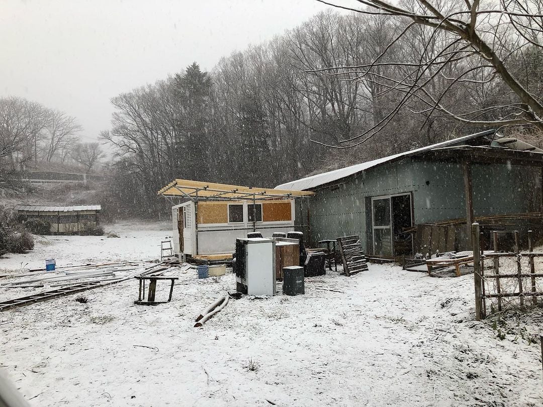 あと屋根張ったらほぼ完成！というところで雪に見舞われたヤギ小屋の様子です。潰れませんようにって祈りました。