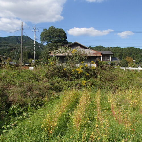 栃木県鹿沼市の物件は駐車スペースや家庭菜園として思い思いの使い方ができる広い庭がついています。庭でキャンプが楽しめるような環境です。