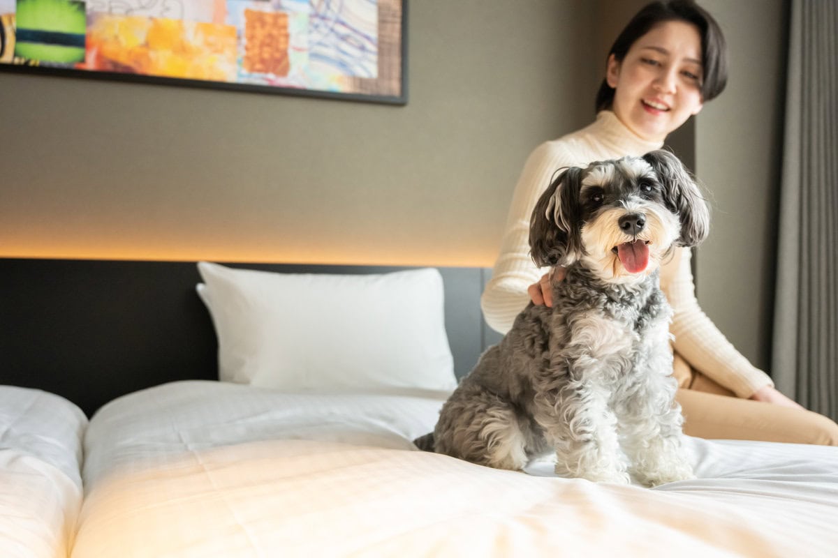 2024年3月に改行したばかりの愛犬と泊まれるホテルを紹介します。