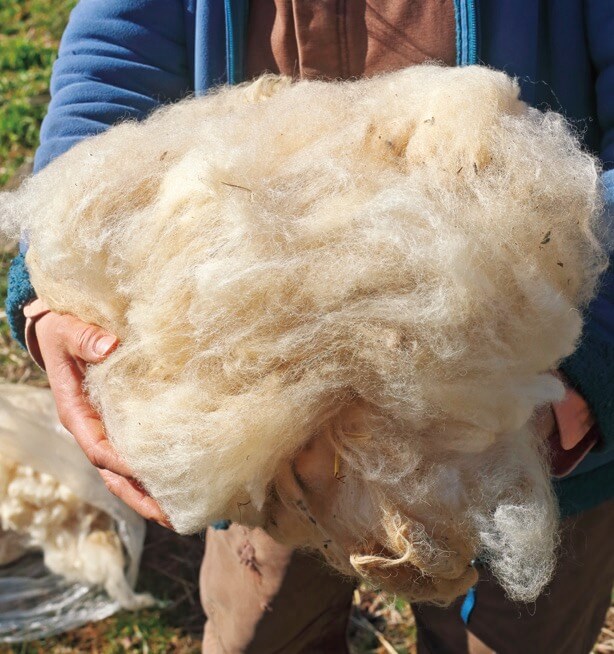 すぐに利用しない場合、羊毛は保管することができます。