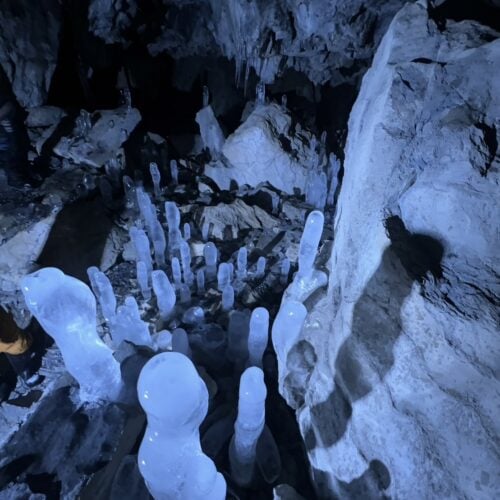 岩手県久慈市の氷筍は、まるでタケノコのように氷が地面から伸びる珍しい光景です。内間木洞（うちまぎどう）という岩手県指定天然記念物の鍾乳洞で、洞内の天井から滴る水が長い時間をかけて凍り付き、氷筍を形成しています。