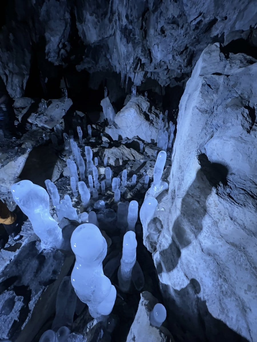 岩手県久慈市の氷筍は、まるでタケノコのように氷が地面から伸びる珍しい光景です。内間木洞（うちまぎどう）という岩手県指定天然記念物の鍾乳洞で、洞内の天井から滴る水が長い時間をかけて凍り付き、氷筍を形成しています。