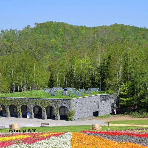 「チューリップ・すずらんフェスタ」（国営滝野すずらん丘陵公園）の様子。カン下段の虹の丘は虹の様に色の分かれたアーチを描く花畑です。